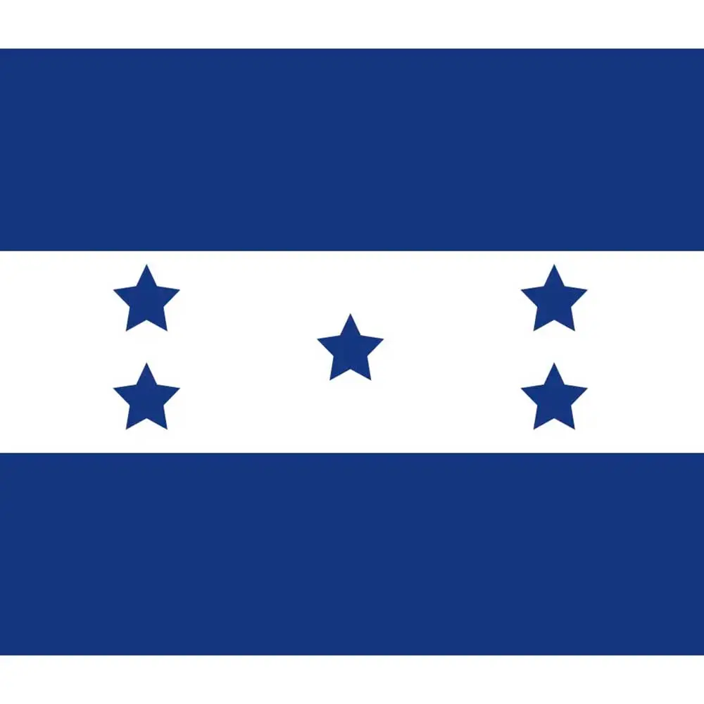 Ing. Ernesto Estrada